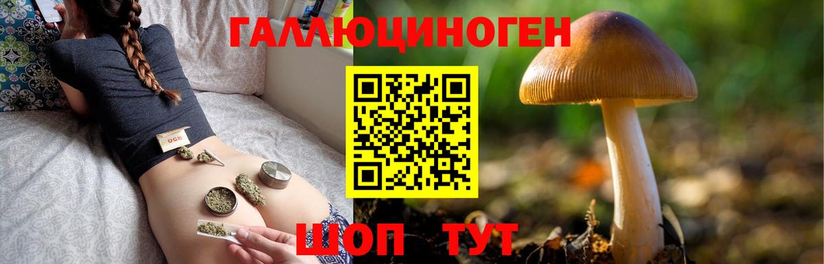 Галлюциногенные грибы ЛСД Каменск-Шахтинский